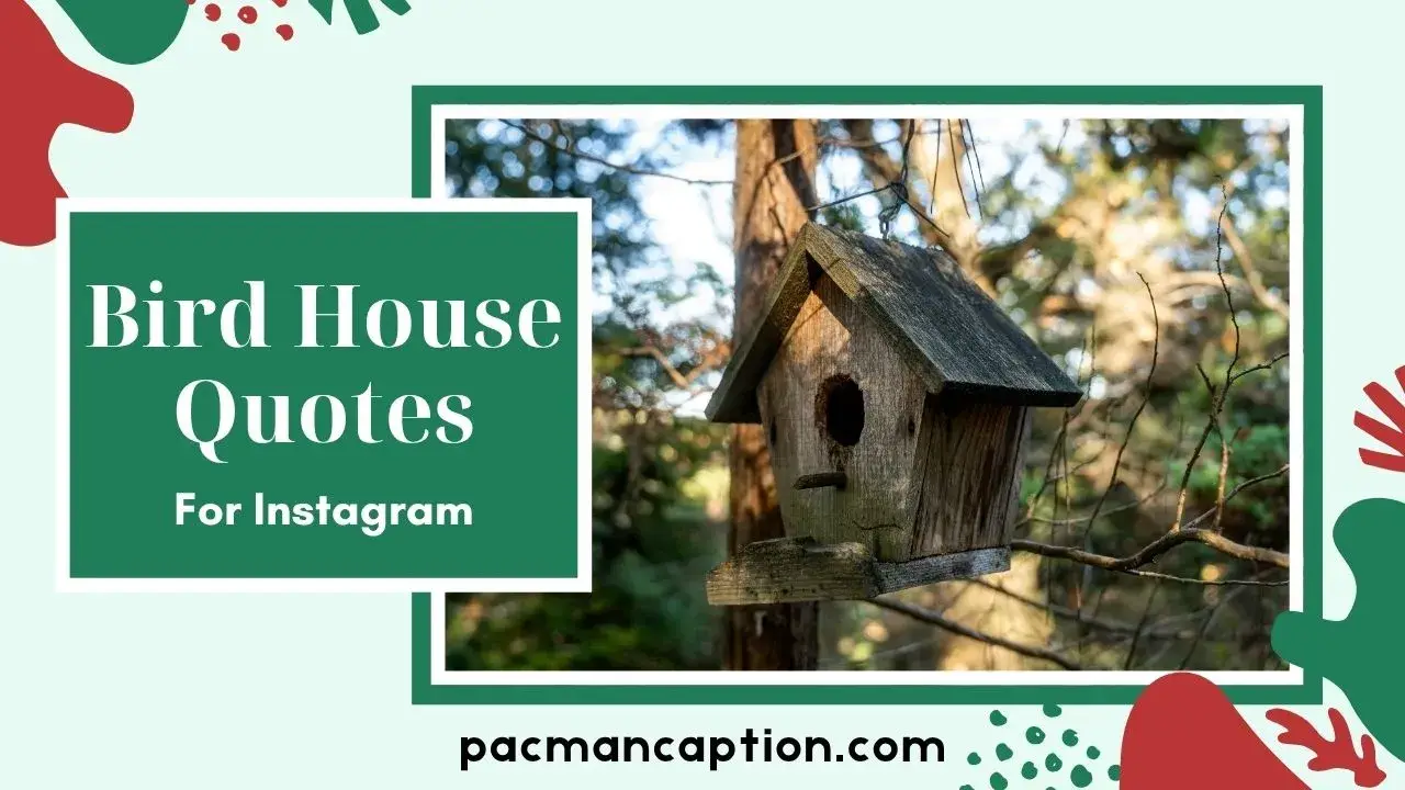 100+ Birdhouse Quotes Funny, Inspirational & Creative Ideas for Your Garden PacManCaption