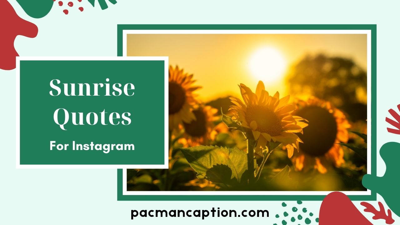 120+ Sunrise Quotes to Inspire Your Day Beautiful Captions for Instagram & Life