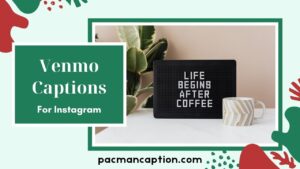 300+ Funny Venmo Captions to Make Every Payment Hilarious