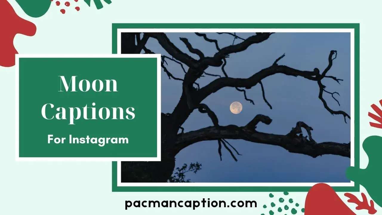 300+ Moon Captions for Instagram Romantic, Funny & Aesthetic Lines to Glow Up Your Posts PacManCaption
