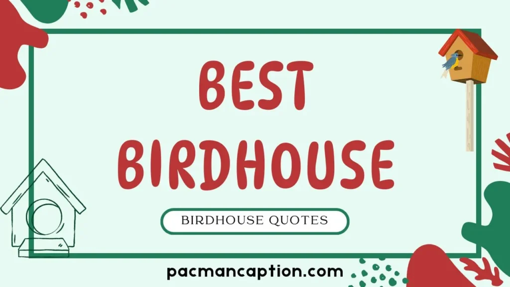 best birdhouse quotes