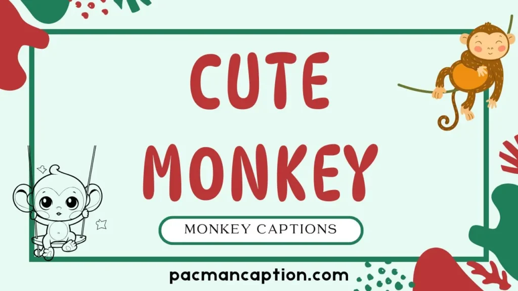 cute monkey captions