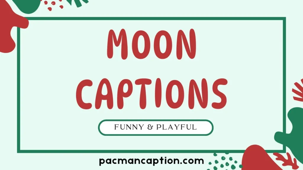 funny and playful moon captions