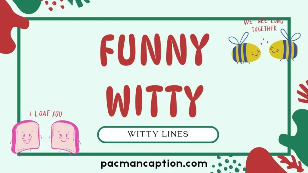funny and witty lines