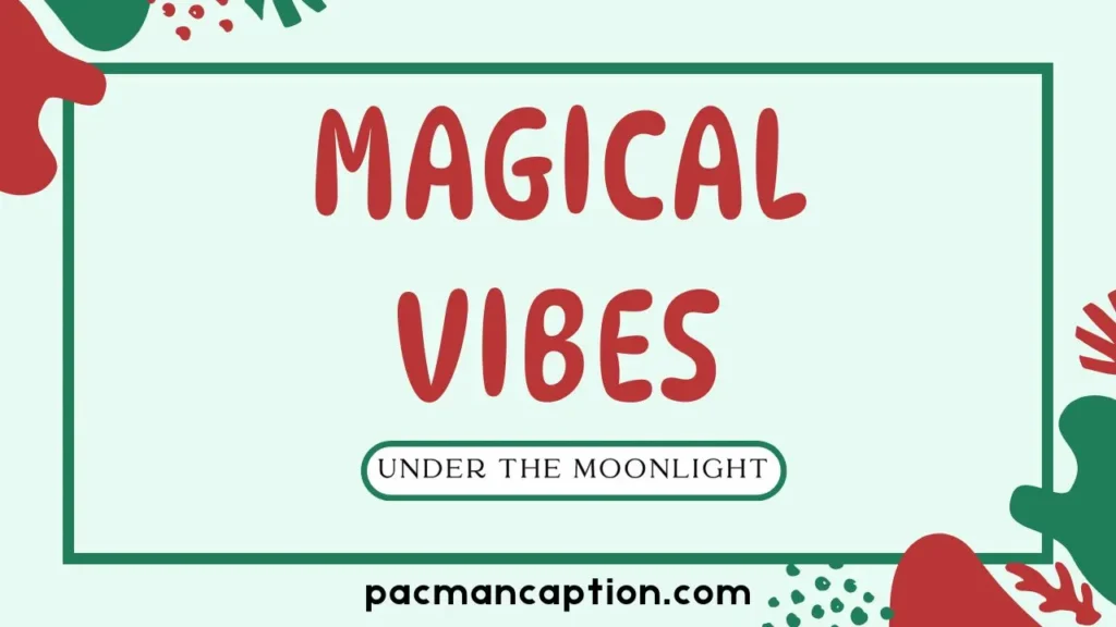 magical vibes under the moonlight