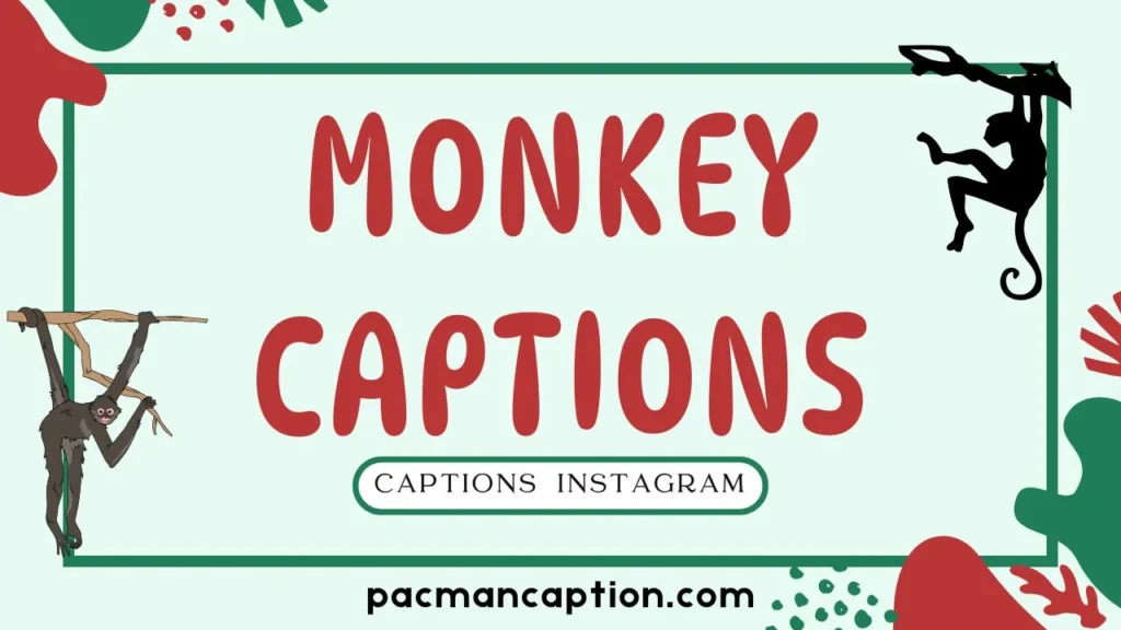 monkey captions for instagram