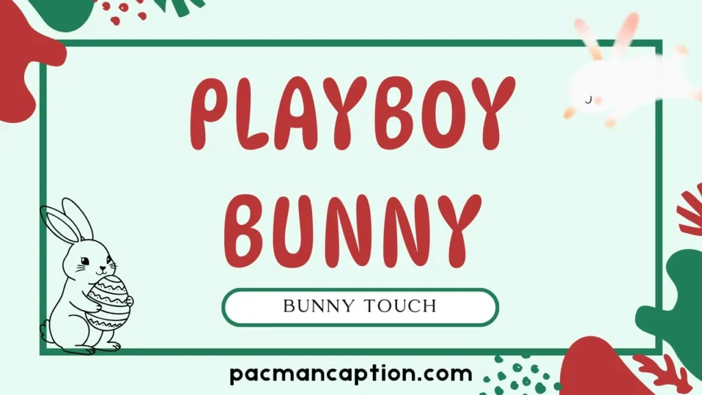 playboy bunny touch