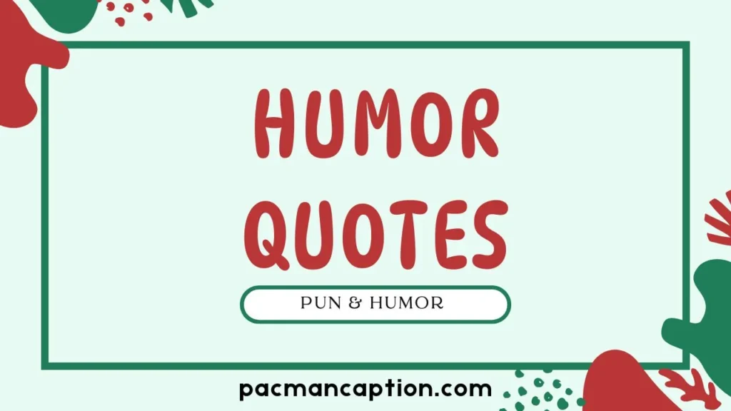 pun and humor quotes