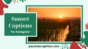 Sunset Captions That Shine Bright Short, Romantic & Trendy Ideas PacManCaption