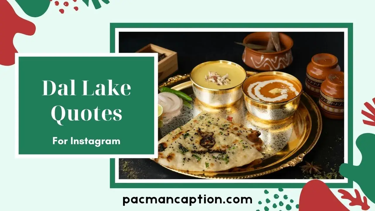 350+ Dal Lake Quotes for Instagram That Truly Capture the Magic 2026 PacManCaption
