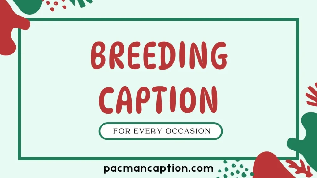 breeding caption ideas for every occasion