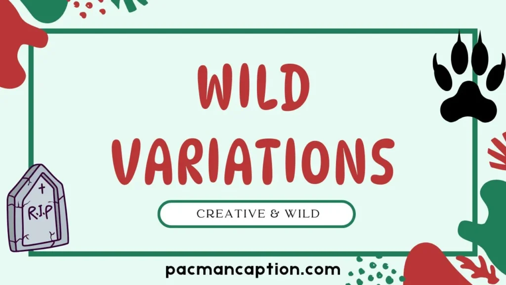 creative and wild variations