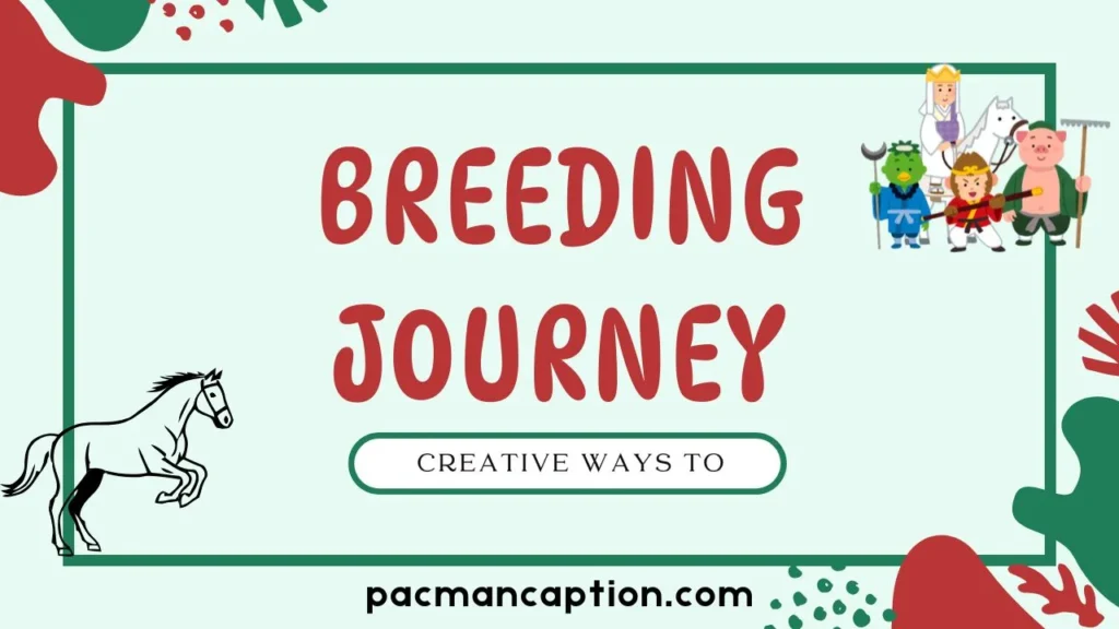creative ways to capture the breeding journey