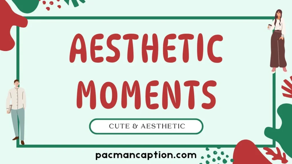 cute and aesthetic moments