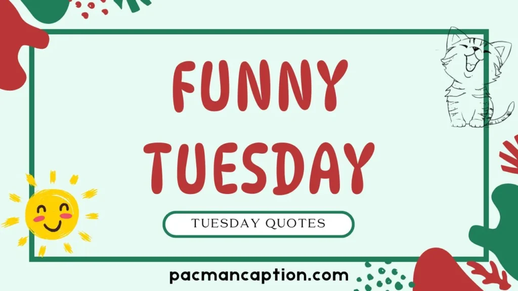 funny tuesday quotes