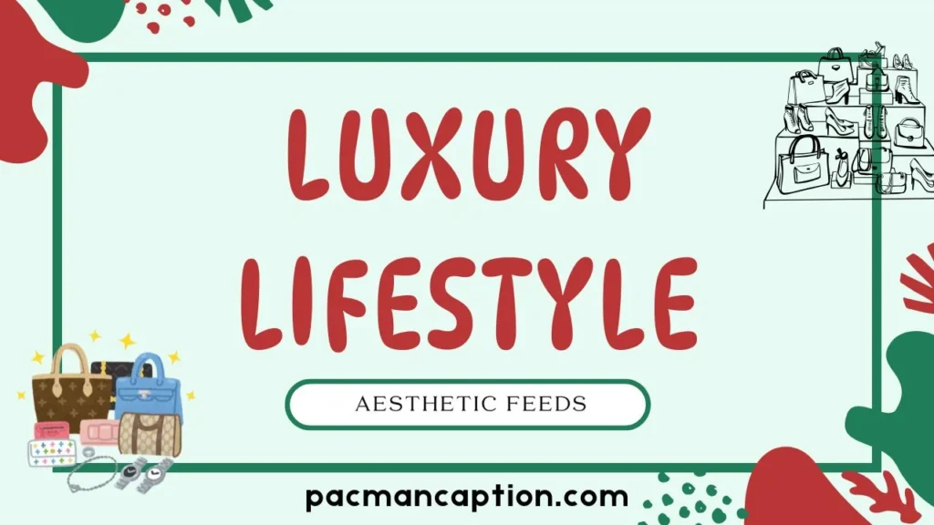 luxury lifestyle and aesthetic feeds