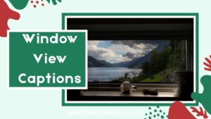 100+ Stunning Window View Captions for Instagram to Boost Your Feed