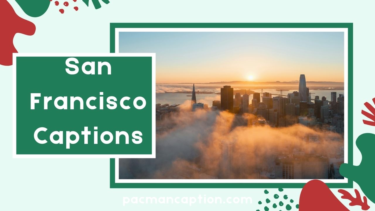 110+ San Francisco Captions That Make Your IG Photos Pop