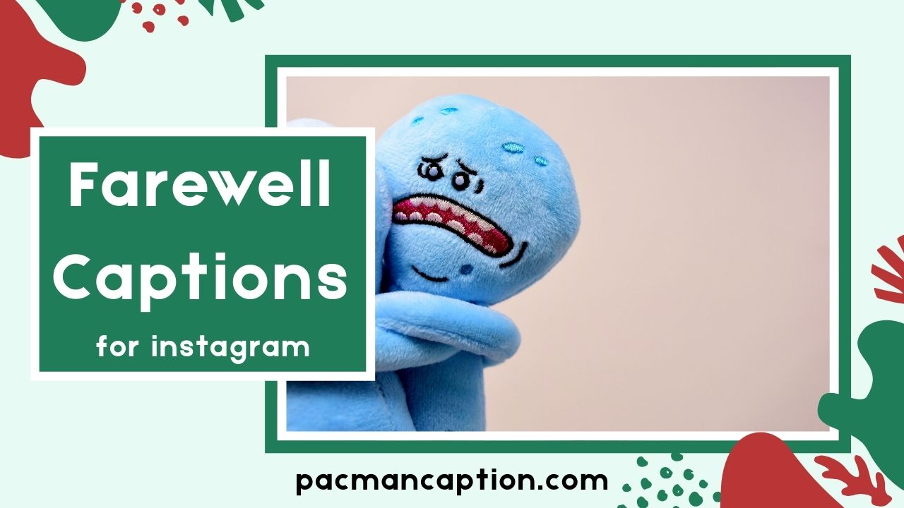 200+ Farewell Captions for Friends Colleagues & Instagram Posts