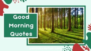 200+ Good Morning Quotes & Messages to Motivate Inspire and Share