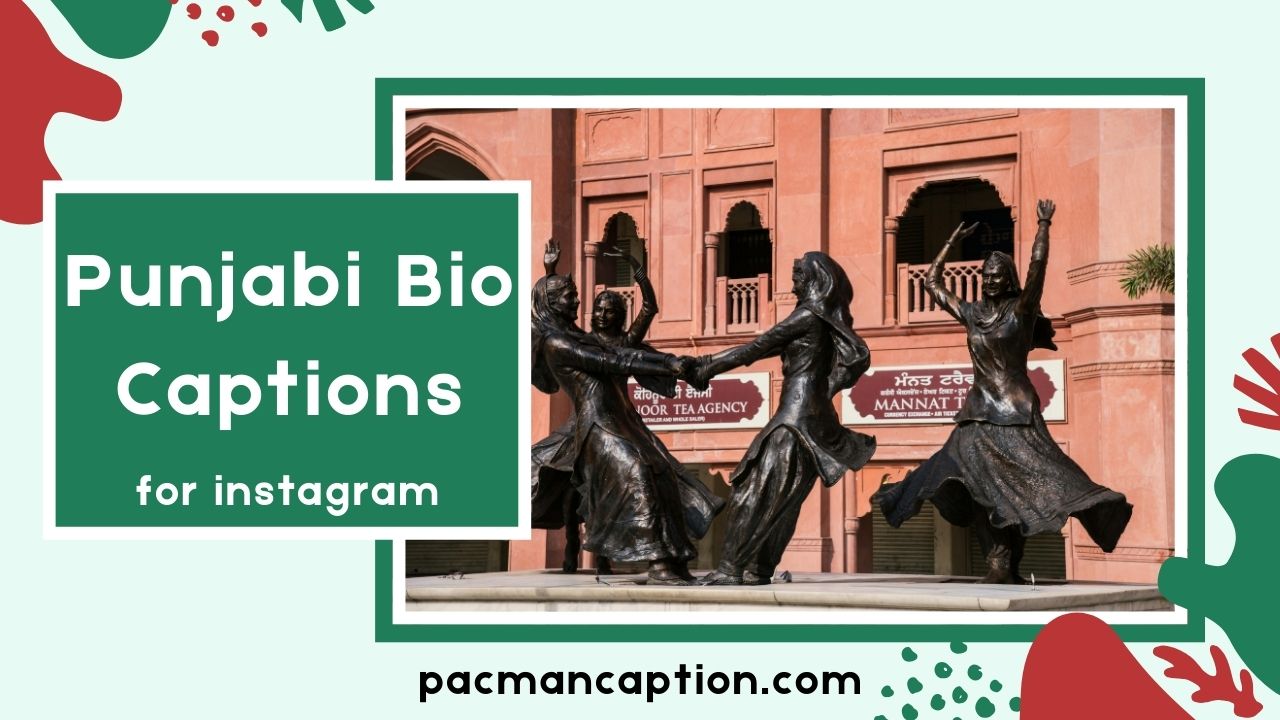 250+ Punjabi Bio Examples to Make Your Profile Stand Out