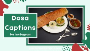 320+ Dosa Captions for Instagram Funny Cute & Trendy Ideas to Try
