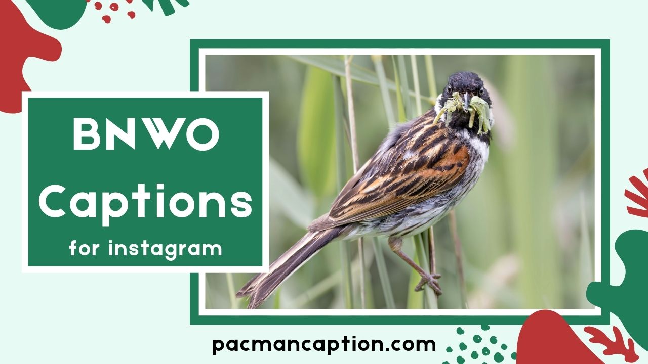 400+ BNWO Captions for Every Mood Minimal Bold & Aesthetic Feed Lines