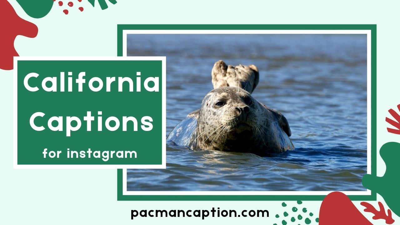 750+ Best California Captions for Instagram Aesthetic Funny & Trendy Lines