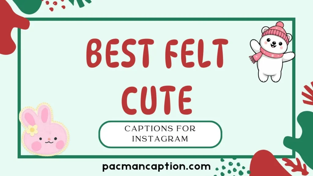 best felt cute captions for instagram