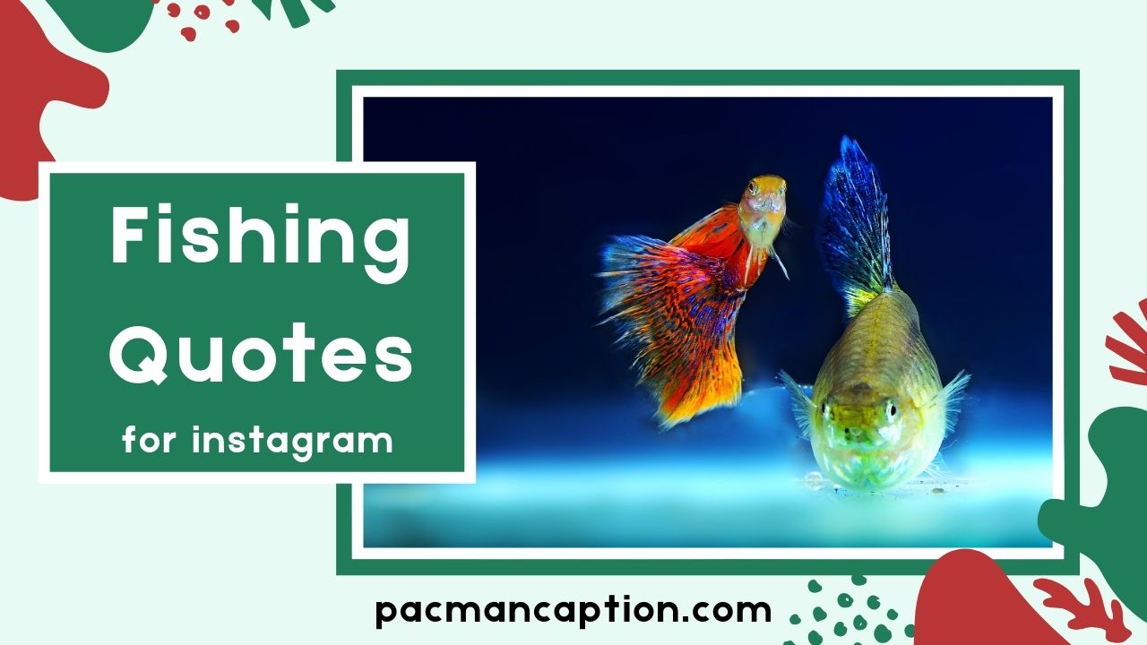 Best Fishing Quotes That Will Make You Smile Relax and Reflect