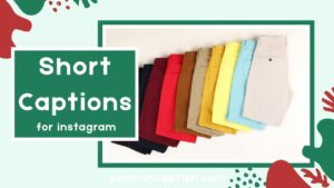 Best Trio Short Captions for Friends Travel and Selfies