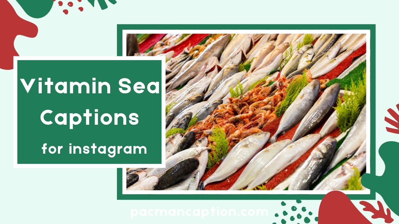 Catchy Vitamin Sea Captions for Every Mood Perfect for Instagram