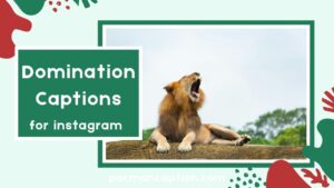 Domination Captions for Instagram Powerful Playful & Confident