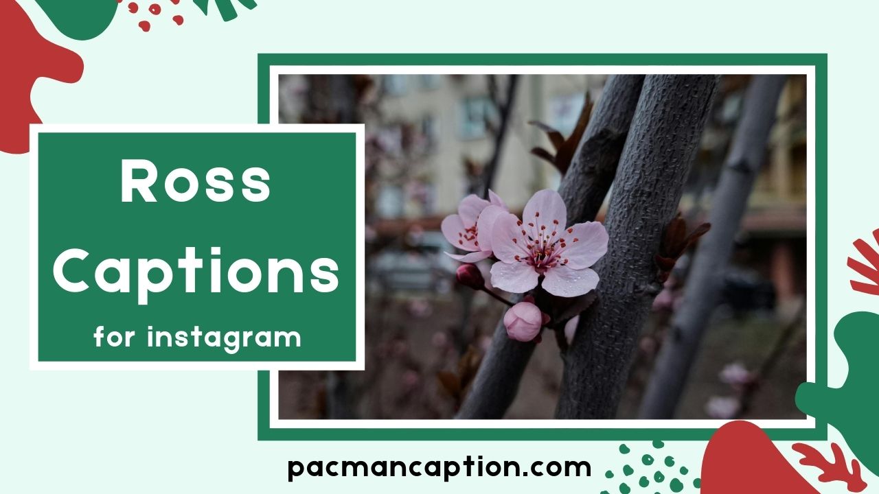 Ross Captions You’ll Love Iconic Funny & Perfect for Every Post