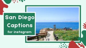 San Diego Captions Short Funny Creative Lines for Instagram