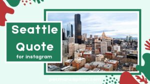 Seattle Quote Collection Inspirational Funny and Romantic Lines