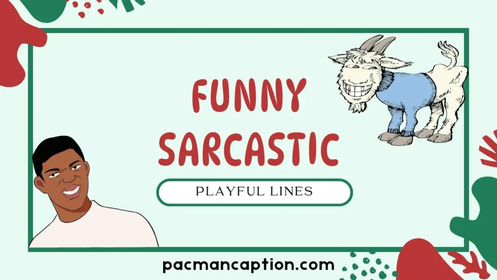 funny sarcastic playful lines