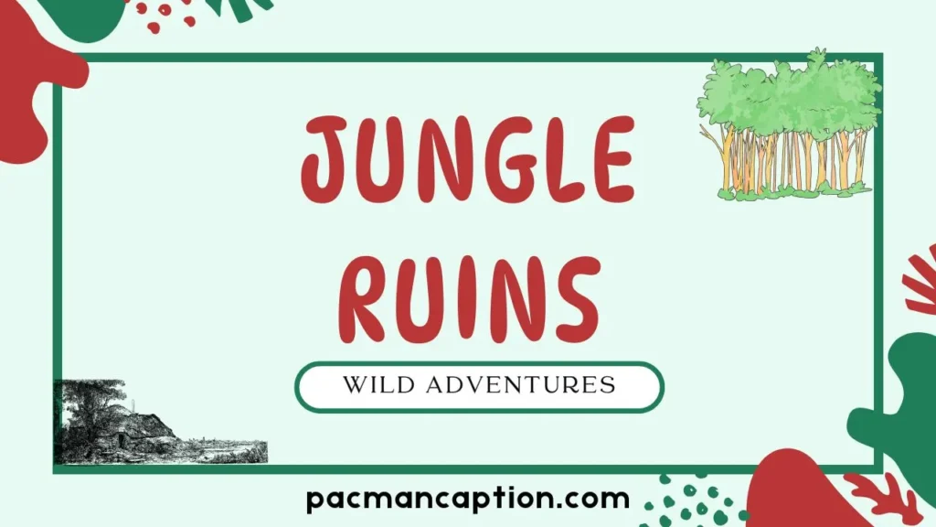 jungle ruins and wild adventures