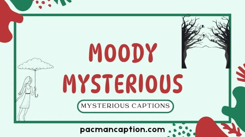moody mysterious captions